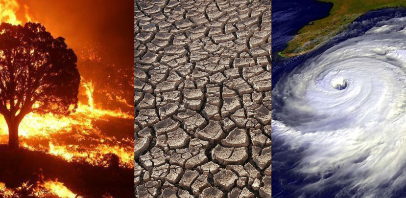 Effect of Climate Change